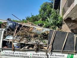 Best Yard Waste Removal  in Cascade, IA